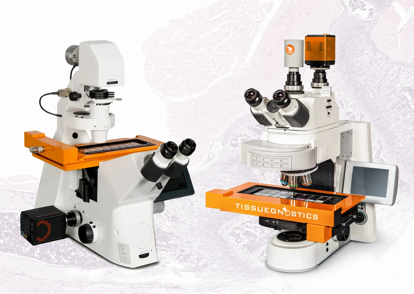 Brightfield & Fluorescence Base Imaging Systems